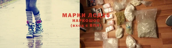 ПСИЛОЦИБИНОВЫЕ ГРИБЫ Беломорск